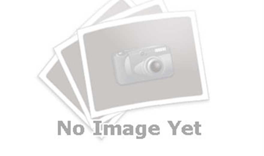 مکانیسم‌های پیشگیری از نویسندگی پوشالی مقالات:  چندنویسندگی و شفافیت سهم پژوهشی